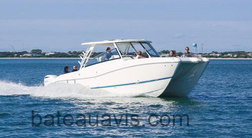 World Cat 325DC fiche technique et avis